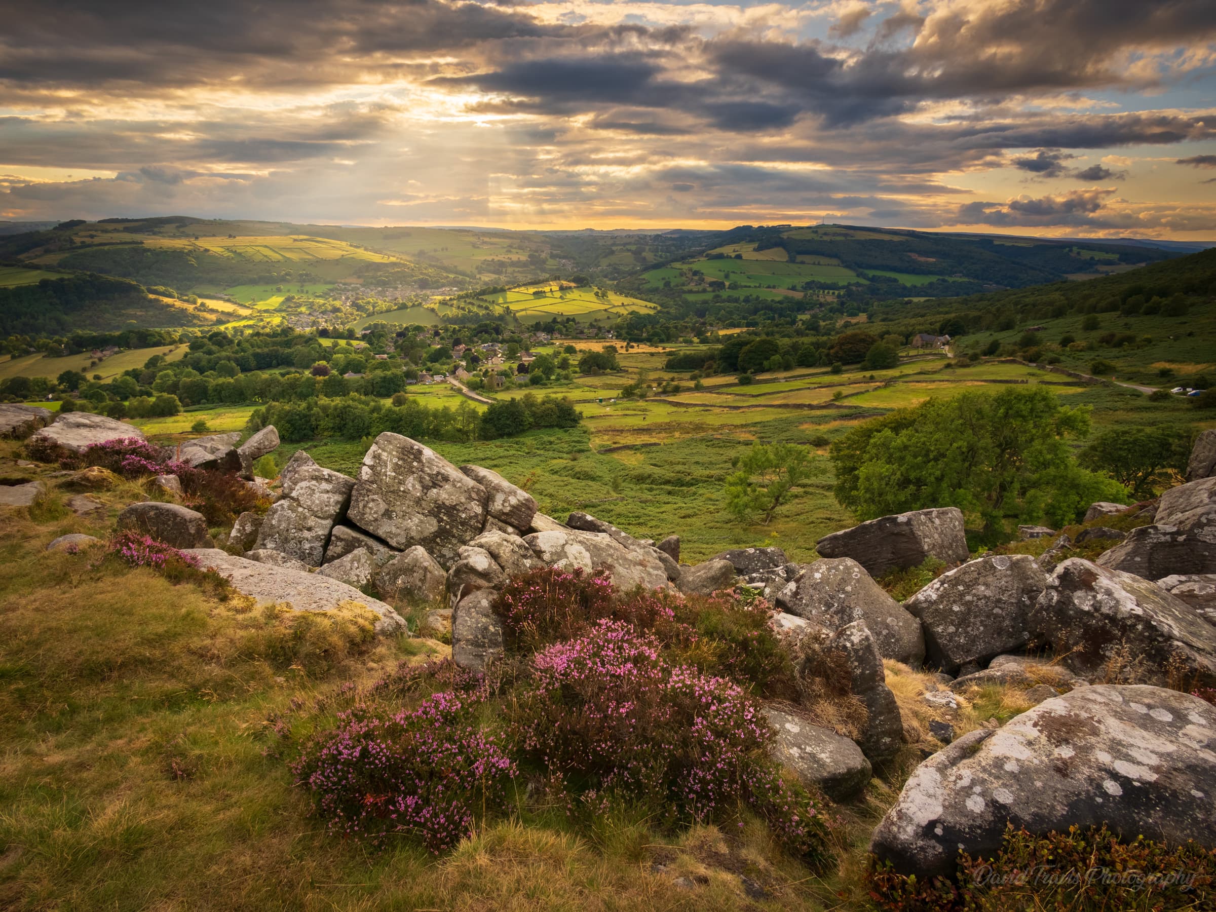 Heather foreground with wide valley view from Baslow Edge in warm evening light, Peak District.