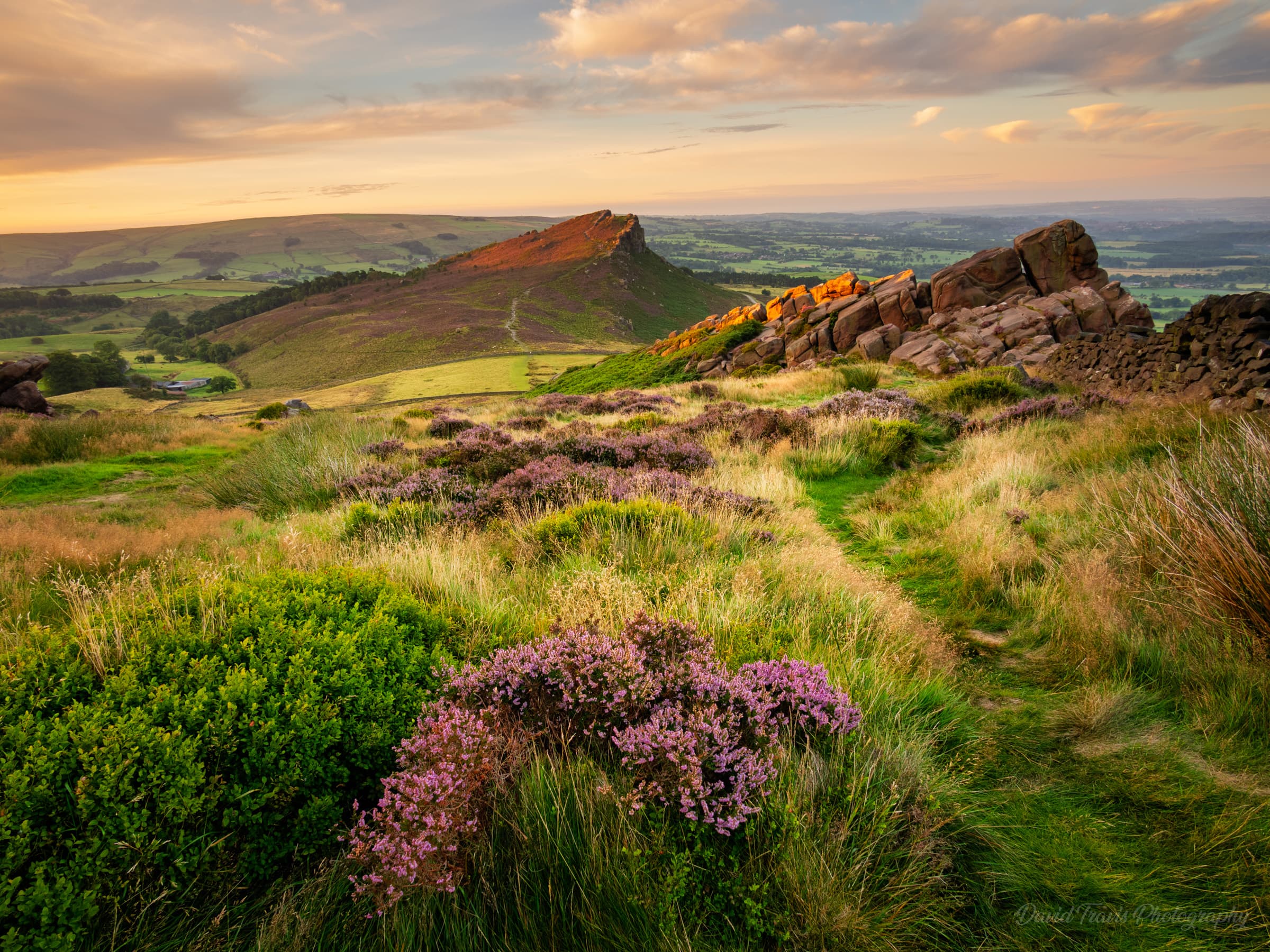 Heather-lined slopes catching first light below the gritstone ridge of The Roaches, Peak District.