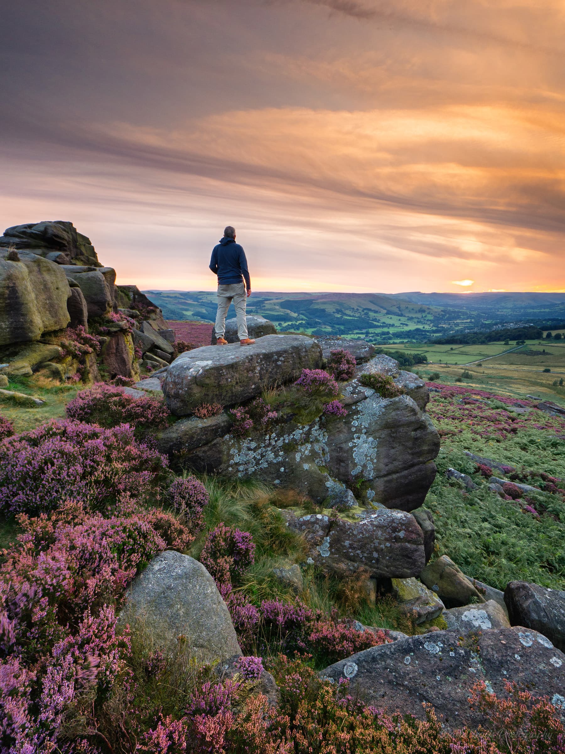 Hiker standing on rocks at Over Owler Tor overlooking Surprise View with heather in bloom, Peak District.