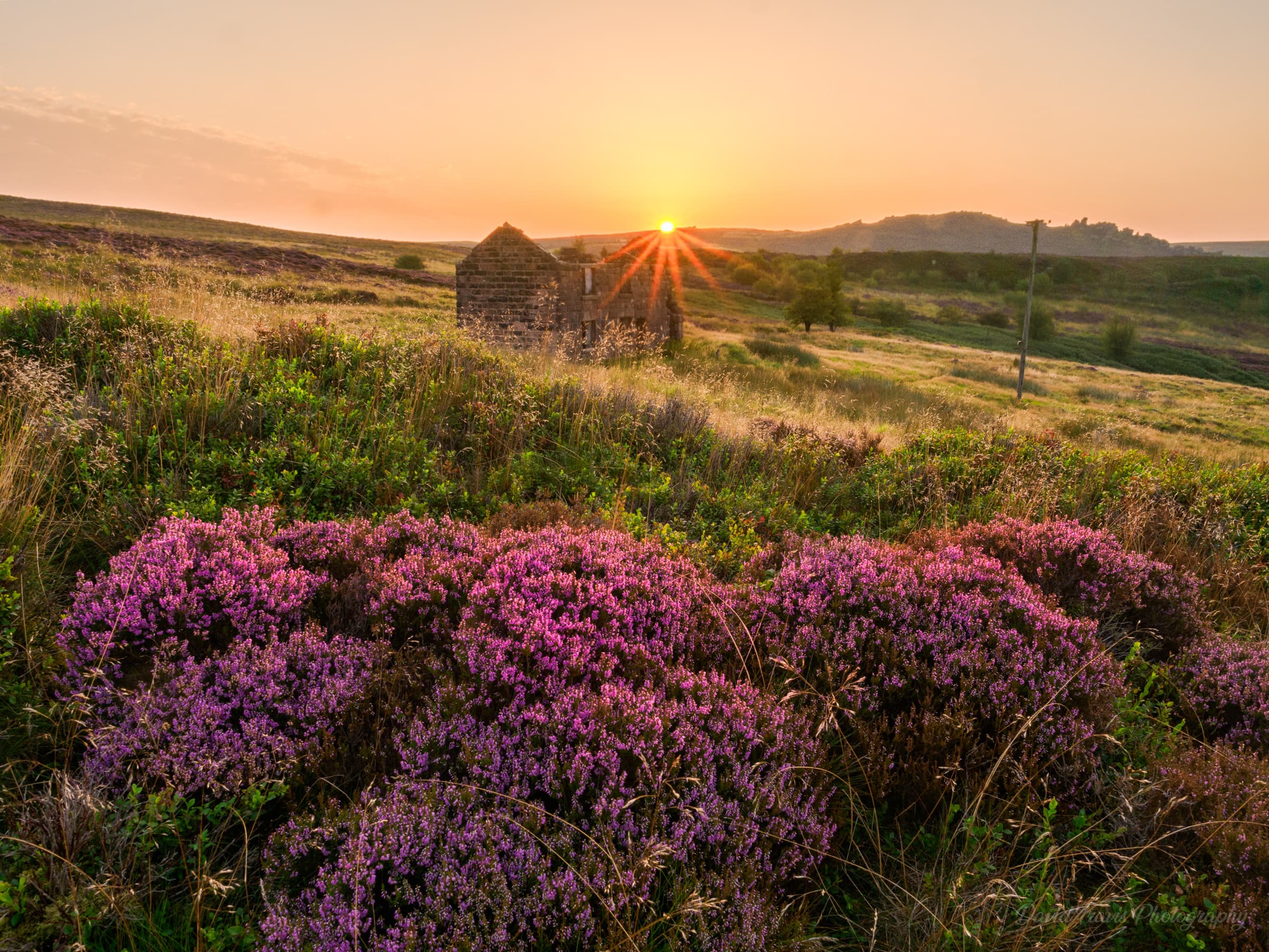 Ruined stone barn on open Peak District moorland with purple heather in the foreground.